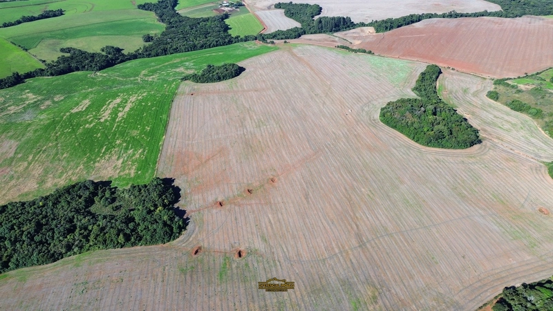 ÁREA DE TERRA À VENDA – 84,89 HECTARES EM EXCELENTE LOCALIZAÇÃO!: 15ª foto da galeria de imagens do imóvel