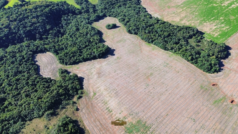 ÁREA DE TERRA À VENDA – 84,89 HECTARES EM EXCELENTE LOCALIZAÇÃO!: 14ª foto da galeria de imagens do imóvel