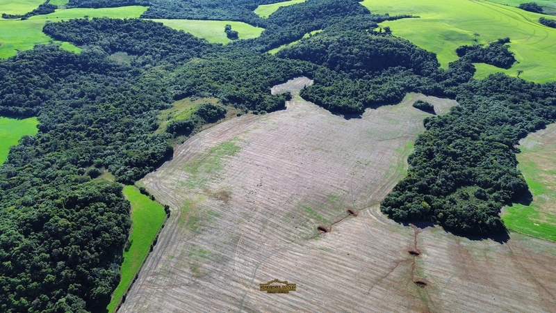 ÁREA DE TERRA À VENDA – 84,89 HECTARES EM EXCELENTE LOCALIZAÇÃO!: 10ª foto da galeria de imagens do imóvel
