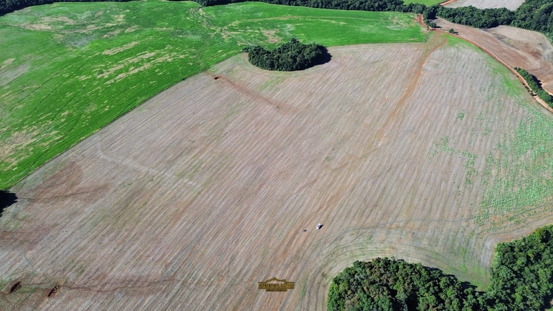 ÁREA DE TERRA À VENDA – 84,89 HECTARES EM EXCELENTE LOCALIZAÇÃO!: 1ª foto da galeria de imagens do imóvel