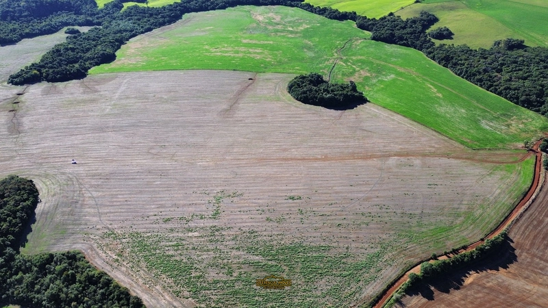 ÁREA DE TERRA À VENDA – 84,89 HECTARES EM EXCELENTE LOCALIZAÇÃO!: 3ª foto da galeria de imagens do imóvel