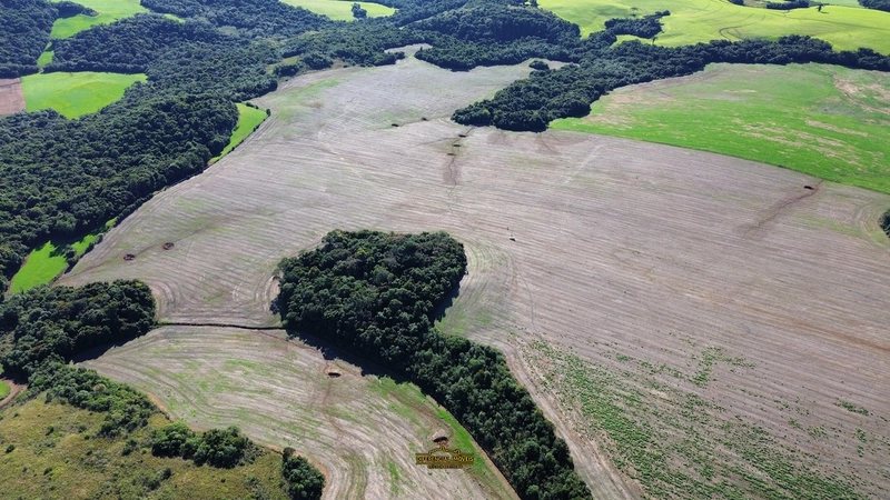 ÁREA DE TERRA À VENDA – 84,89 HECTARES EM EXCELENTE LOCALIZAÇÃO!: 5ª foto da galeria de imagens do imóvel