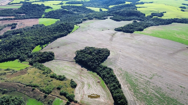 ÁREA DE TERRA À VENDA – 84,89 HECTARES EM EXCELENTE LOCALIZAÇÃO!: 7ª foto da galeria de imagens do imóvel