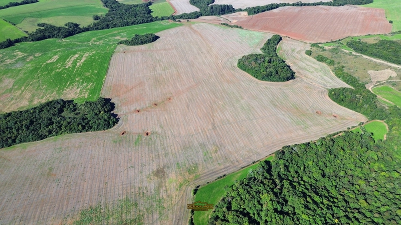 ÁREA DE TERRA À VENDA – 84,89 HECTARES EM EXCELENTE LOCALIZAÇÃO!: 8ª foto da galeria de imagens do imóvel