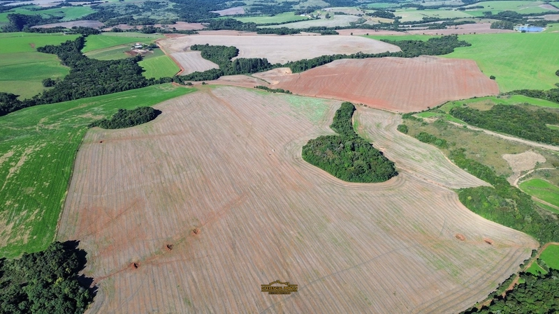 ÁREA DE TERRA À VENDA – 84,89 HECTARES EM EXCELENTE LOCALIZAÇÃO!: 13ª foto da galeria de imagens do imóvel