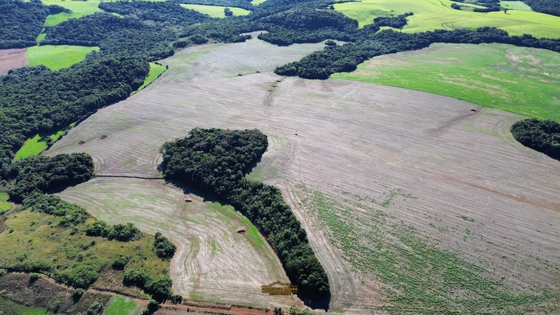 ÁREA DE TERRA À VENDA – 84,89 HECTARES EM EXCELENTE LOCALIZAÇÃO!: 4ª foto da galeria de imagens do imóvel