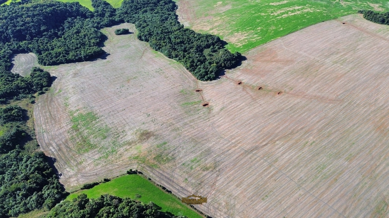 ÁREA DE TERRA À VENDA – 84,89 HECTARES EM EXCELENTE LOCALIZAÇÃO!: 9ª foto da galeria de imagens do imóvel