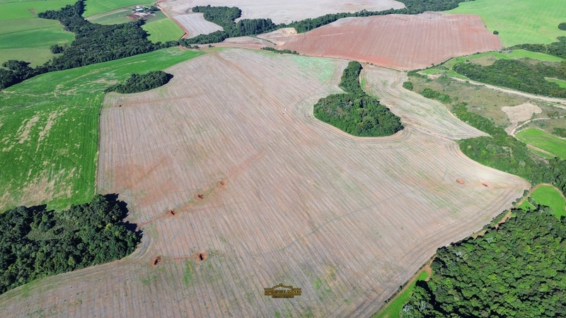 ÁREA DE TERRA À VENDA – 84,89 HECTARES EM EXCELENTE LOCALIZAÇÃO!: 12ª foto da galeria de imagens do imóvel