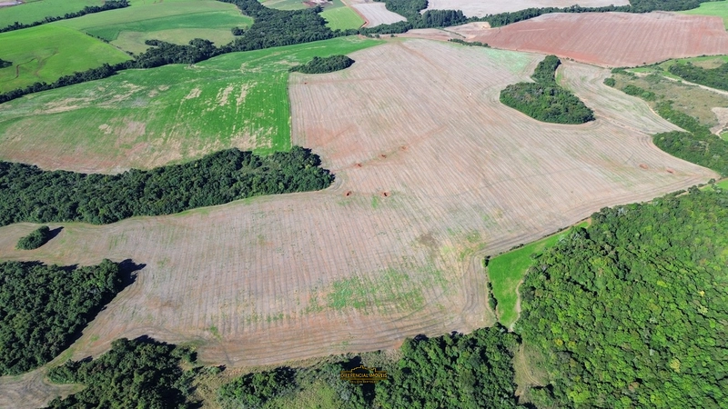 ÁREA DE TERRA À VENDA – 84,89 HECTARES EM EXCELENTE LOCALIZAÇÃO!: 11ª foto da galeria de imagens do imóvel