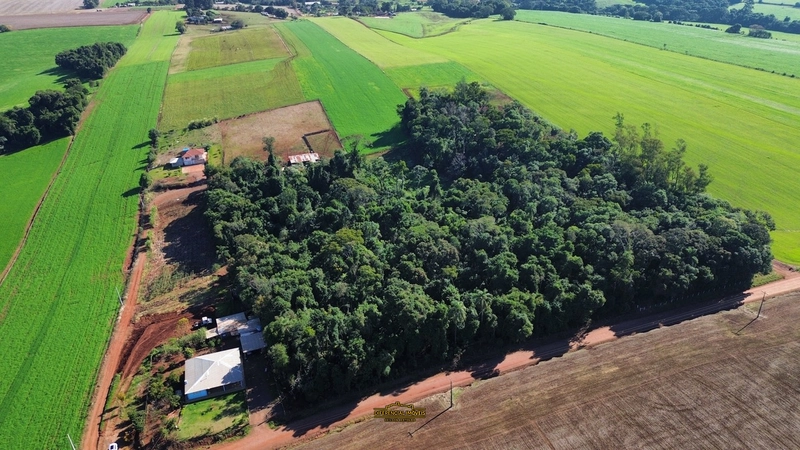 CHÁCARA A 2KM DE IBIRUBÁ: 6ª foto da galeria de imagens do imóvel