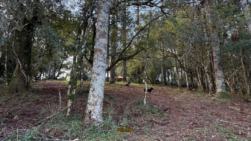 LINDA CHÁCARA: 6ª foto da galeria de imagens do imóvel