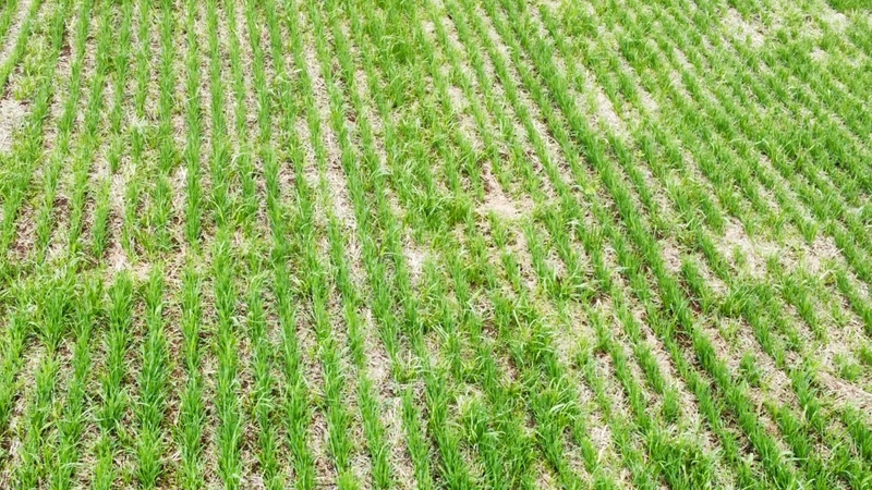 : 3ª foto da galeria de imagens do imóvel