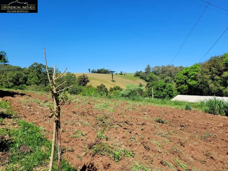 : 3ª foto da galeria de imagens do imóvel