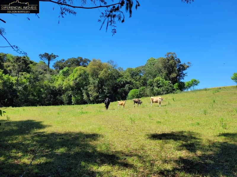 : 4ª foto da galeria de imagens do imóvel