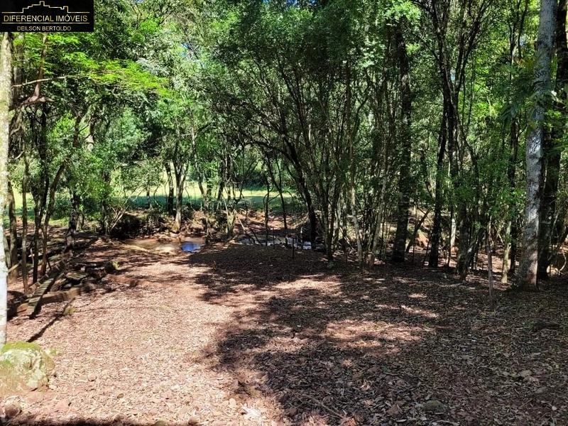 : 2ª foto da galeria de imagens do imóvel