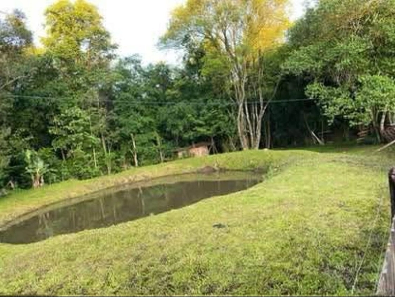 VENDE-SE CHÁCARA EM SEBERI !!!: 8ª foto da galeria de imagens do imóvel