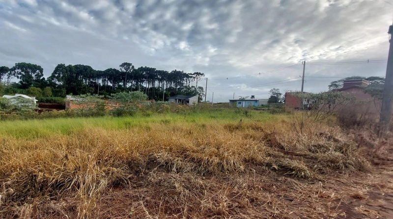 VENDE-SE TERRENO EM SEBERI !: 3ª foto da galeria de imagens do imóvel