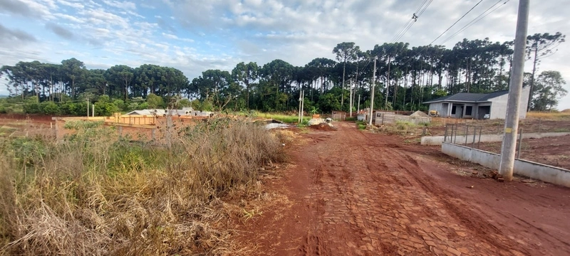 VENDE-SE TERRENO EM SEBERI !: 1ª foto da galeria de imagens do imóvel