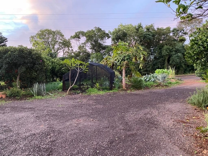 VENDE-SE CHÁCARA EM SEBERI NA LINHA PROGRESSO: 3ª foto da galeria de imagens do imóvel