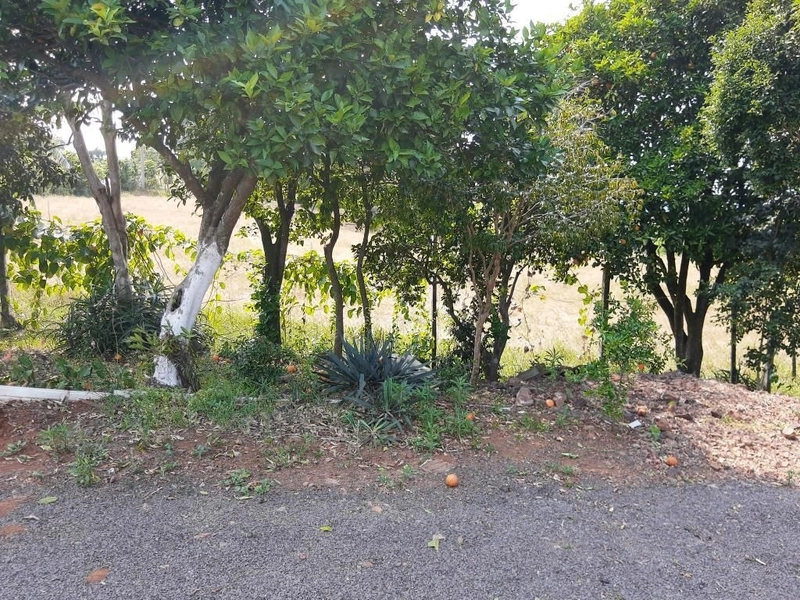 VENDE-SE CHÁCARA EM SEBERI NA LINHA PROGRESSO: 11ª foto da galeria de imagens do imóvel