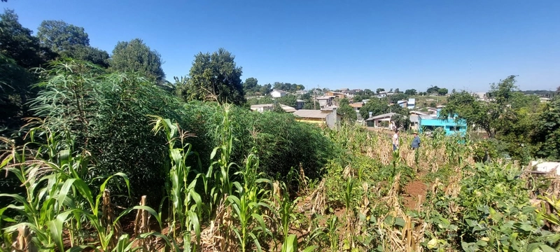 VENDE-SE AMPLO TERRENO EM SEBERI: 3ª foto da galeria de imagens do imóvel