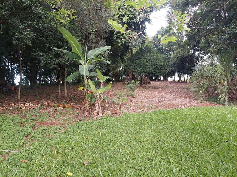 LINDO SÍTIO A POUCOS METROS DA CIDADE DE SEBERI!: 2ª foto da galeria de imagens do imóvel