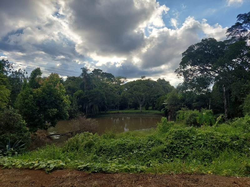 LINDO SÍTIO A POUCOS METROS DA CIDADE DE SEBERI!: 5ª foto da galeria de imagens do imóvel