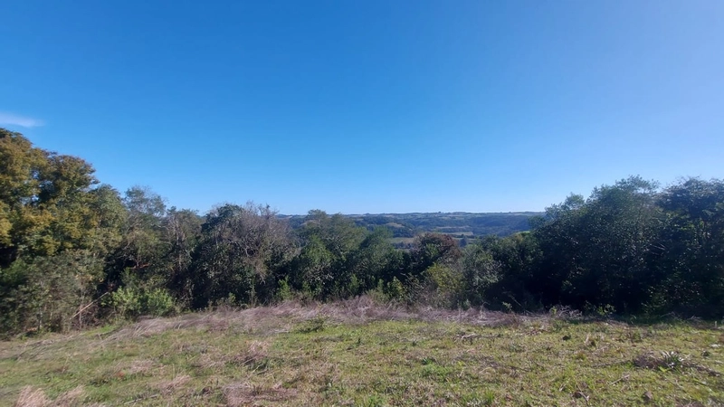 VENDE-SE CHÁCARA: 9ª foto da galeria de imagens do imóvel