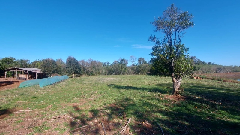 VENDE-SE CHÁCARA: 11ª foto da galeria de imagens do imóvel