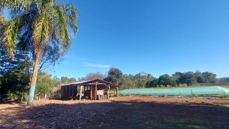 VENDE-SE CHÁCARA: 12ª foto da galeria de imagens do imóvel
