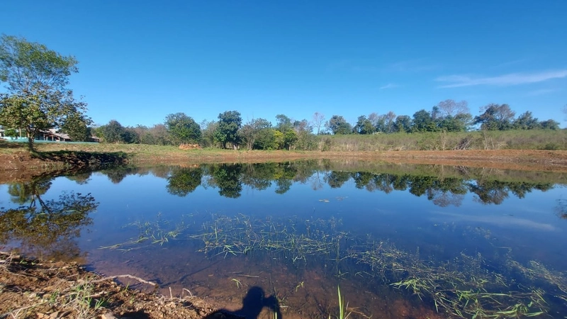 VENDE-SE CHÁCARA: 10ª foto da galeria de imagens do imóvel