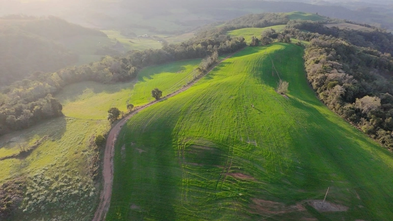 VENDE-SE 25 HECTARES DE TERRA