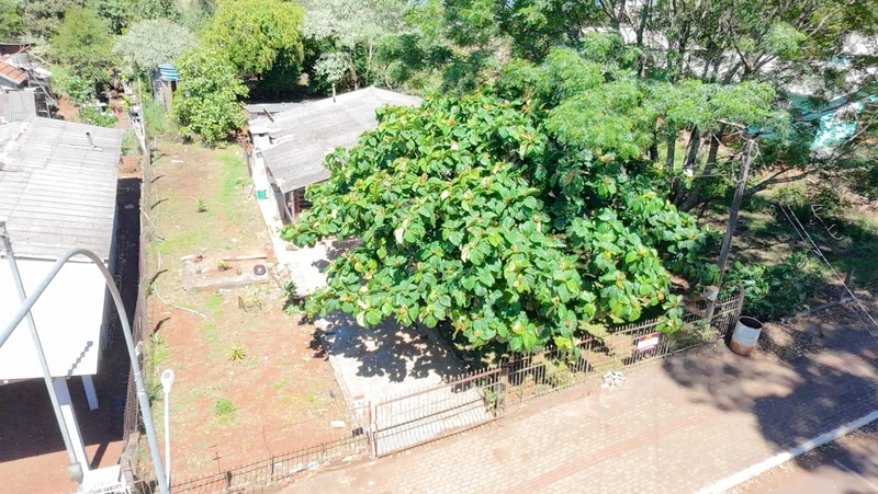 VENDE-SE AMPLO TERRENO EM SEBERI: 5ª foto da galeria de imagens do imóvel