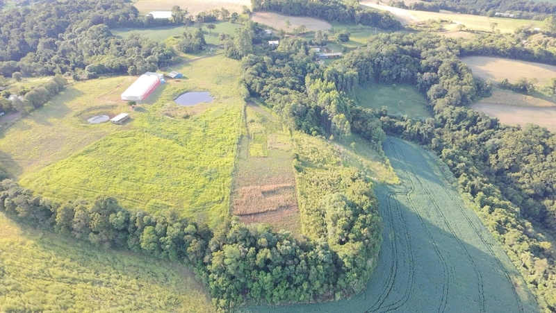 Sítio à Venda – Linha Ciote: 11ª foto da galeria de imagens do imóvel