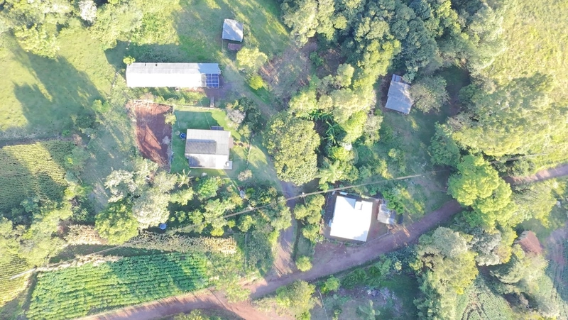 Sítio à Venda – Linha Ciote: 14ª foto da galeria de imagens do imóvel