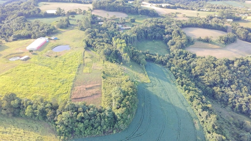 Sítio à Venda – Linha Ciote: 10ª foto da galeria de imagens do imóvel