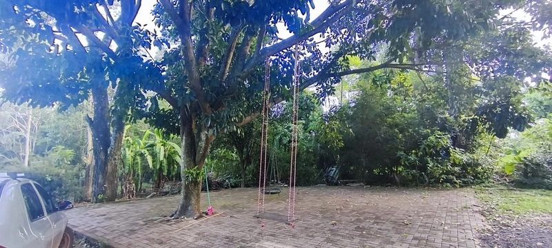 Sítio à Venda – Linha Ciote: 7ª foto da galeria de imagens do imóvel