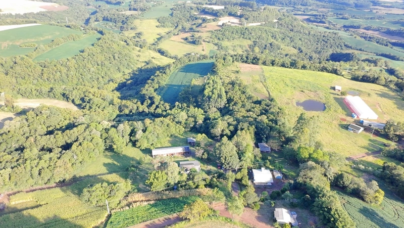 Sítio à Venda – Linha Ciote: 16ª foto da galeria de imagens do imóvel