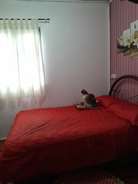 CASA A VENDA CENTRO DE SEBERI !!!: 19ª foto da galeria de imagens do imóvel