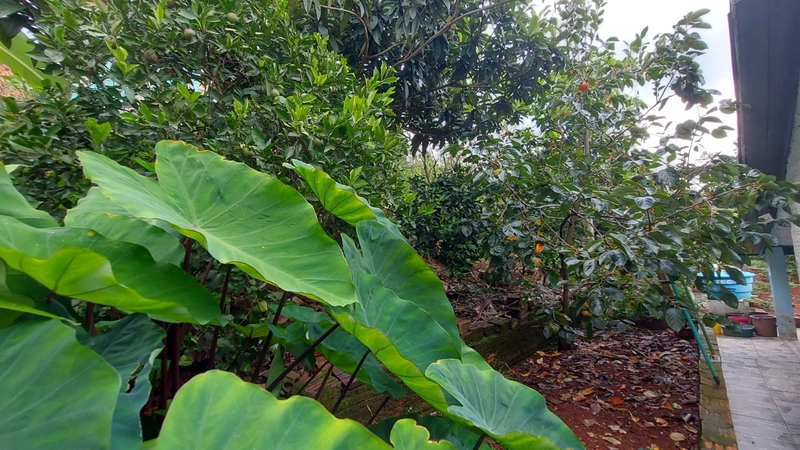 Ótima oportunidade!: 6ª foto da galeria de imagens do imóvel