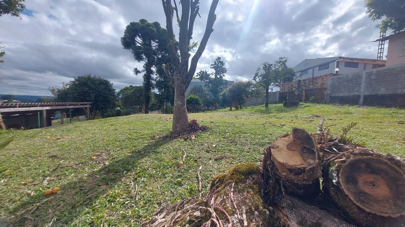 VENDE-SE TERRENO: 3ª foto da galeria de imagens do imóvel