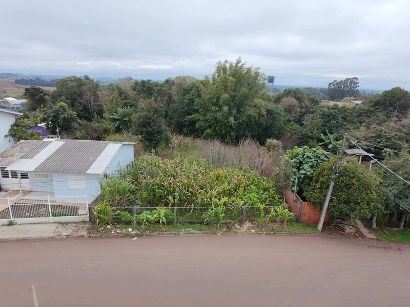 VENDE-SE TERRNO COM PREÇO DE OCASIÃO!: 4ª foto da galeria de imagens do imóvel