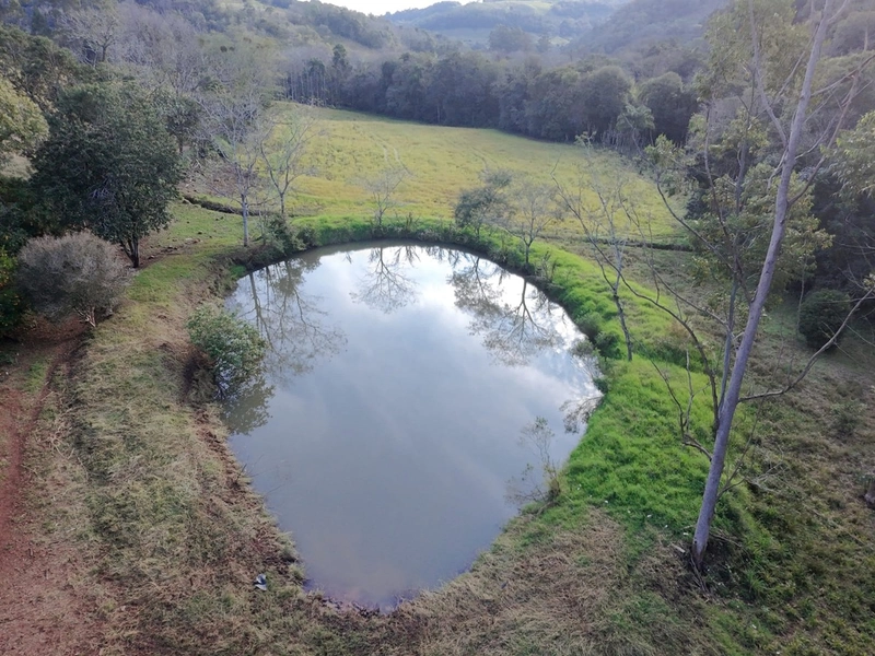 VENDE- SE ÁREA DE TERRA NA LINHA CARACOL !!!