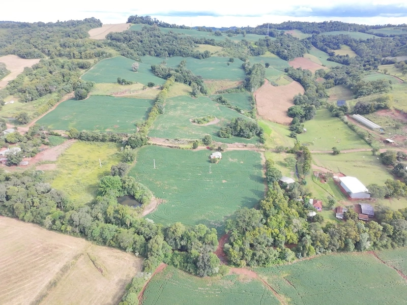 VENDE- SE ÁREA DE TERRA NA LINHA CHICO DOMINGO !!!: 2ª foto da galeria de imagens do imóvel
