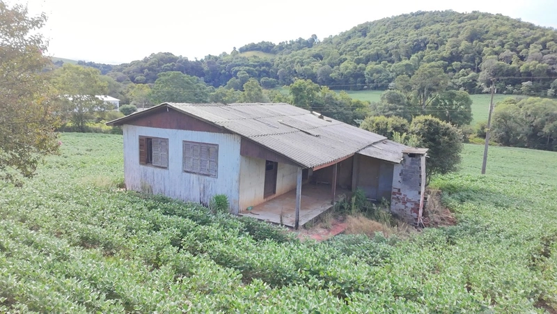 VENDE- SE ÁREA DE TERRA NA LINHA CHICO DOMINGO !!!: 3ª foto da galeria de imagens do imóvel