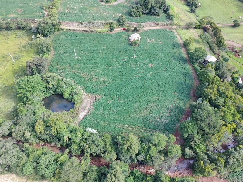 VENDE- SE ÁREA DE TERRA NA LINHA CHICO DOMINGO !!!