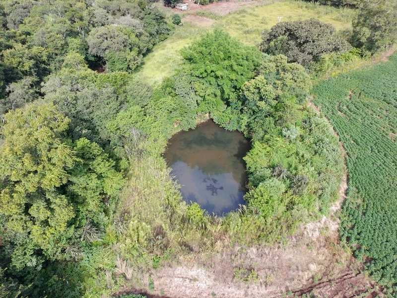 VENDE- SE ÁREA DE TERRA NA LINHA CHICO DOMINGO !!!: 8ª foto da galeria de imagens do imóvel