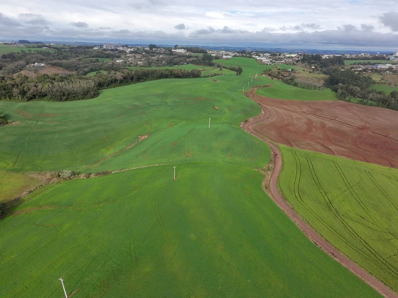 ÁREA DE TERRA NA LINHA TESOURA !!!!: 8ª foto da galeria de imagens do imóvel