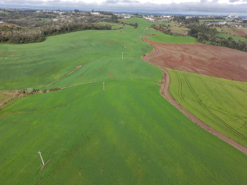 ÁREA DE TERRA NA LINHA TESOURA !!!!: 12ª foto da galeria de imagens do imóvel