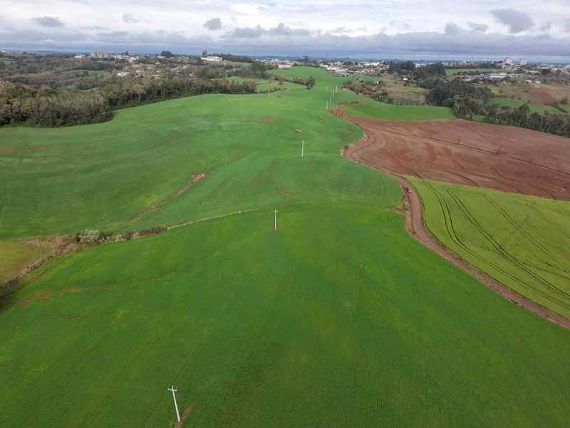 ÁREA DE TERRA NA LINHA TESOURA !!!!: 5ª foto da galeria de imagens do imóvel